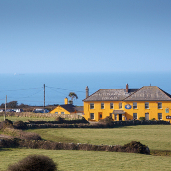 The Gurnard's Head